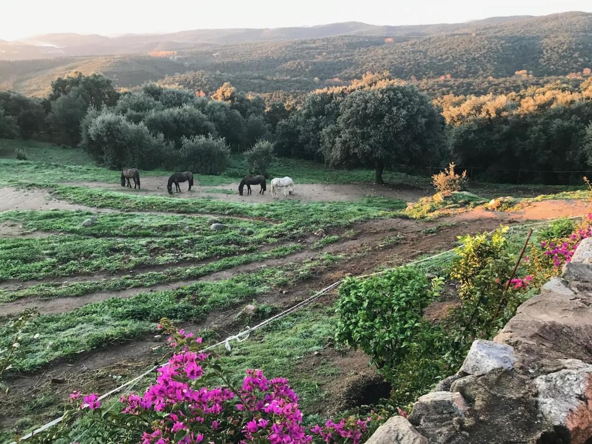 Can Maimes Agullana Exteriér fotografie