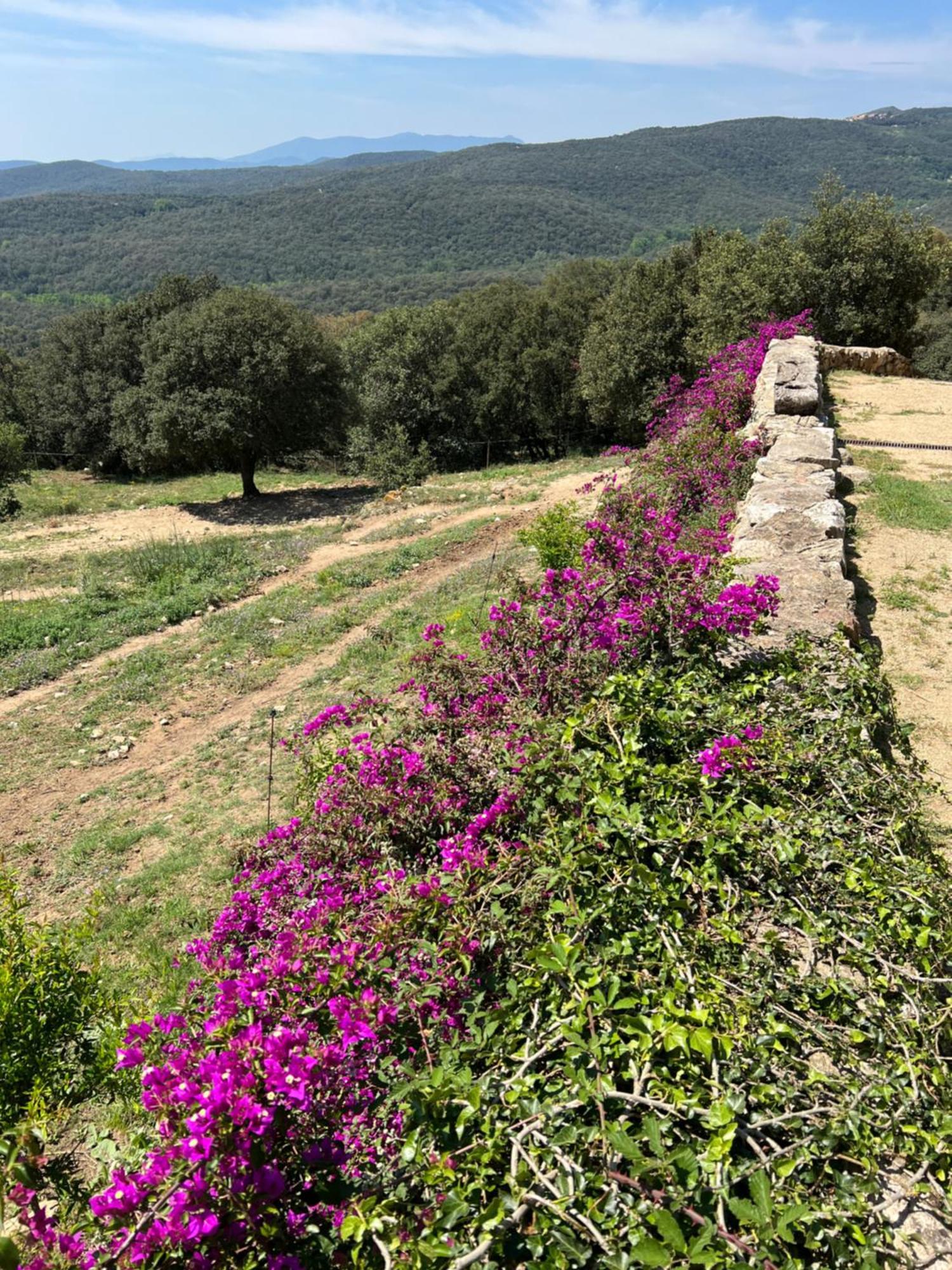 Can Maimes Agullana Exteriér fotografie